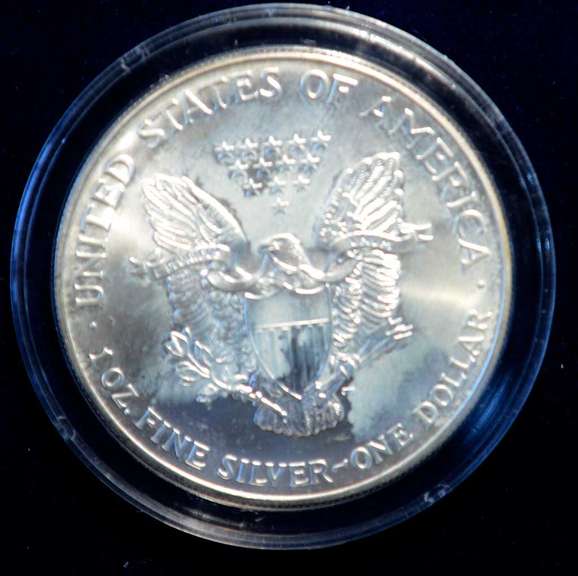 1999 Colorized American Silver Eagle in Capsule