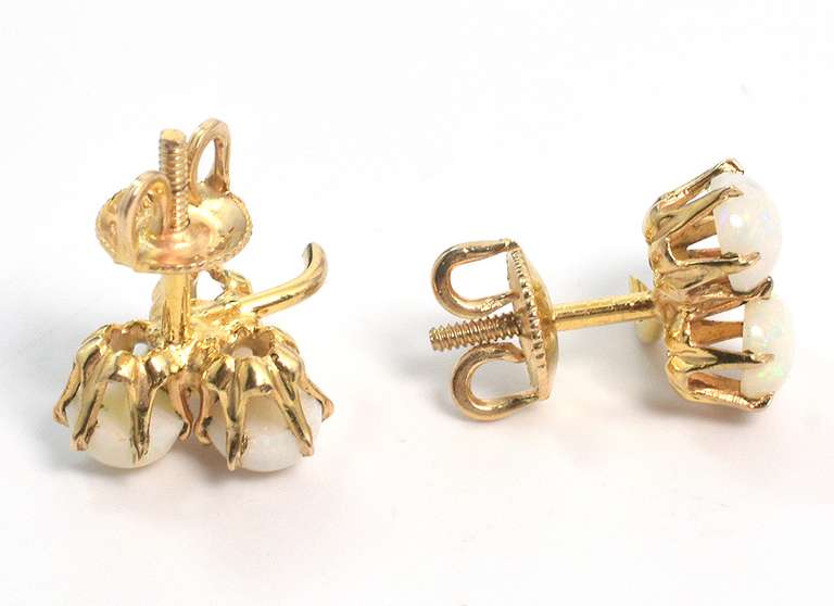 Fun Opal Earrings in Yellow Gold