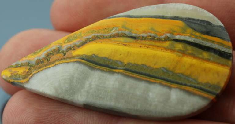 Huge! 48ct collectors Bumble bee Jasper