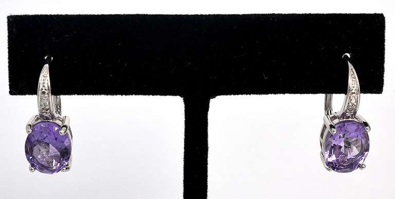 Precious Amethyst Leverback Earrings in Sterling Silver