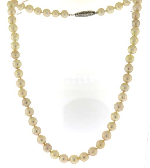 Soft Golden Pearl Necklace