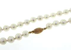 White Fresh Water Pearl Necklace