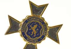 14K Yellow Gold Nassau Community College Enamel Cross Lapel Pin/Brooch