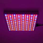 Grow Light Waterproof Plant Lamp Chip Phyto Growth Lamp