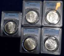 Lot of  6 PCGS Morgan Dollars
