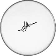 Madonna Signed Facsimile Clear Drumhead