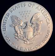 2017 Silver  Eagle