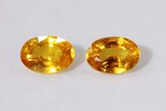 Charming Natural Golden Sappphire Pair