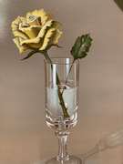 Yellow Rose Still Life