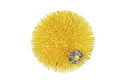 18K Yellow Gold 0.56Ctw Tiffany Co Sapphire Diamond Urchin Pin/Brooch