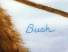 Collector's Fine China Plate