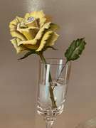 Yellow Rose Still Life