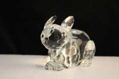 Crystal Rabbit