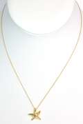 Heavy 18KT Yellow Gold Tiffany & Co. with Elsa Peretti Starfish Necklace