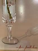 Yellow Rose Still Life