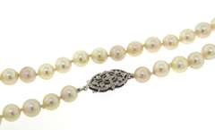 Soft Golden Pearl Necklace