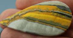 Huge! 48ct collectors Bumble bee Jasper
