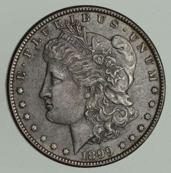 1899 Morgan Silver Dollar