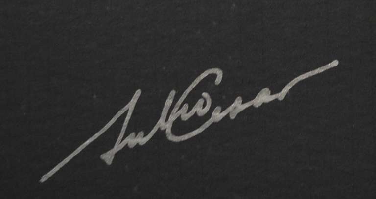 Julio Cesar Delgado - Dance of the Birds 13 Paper