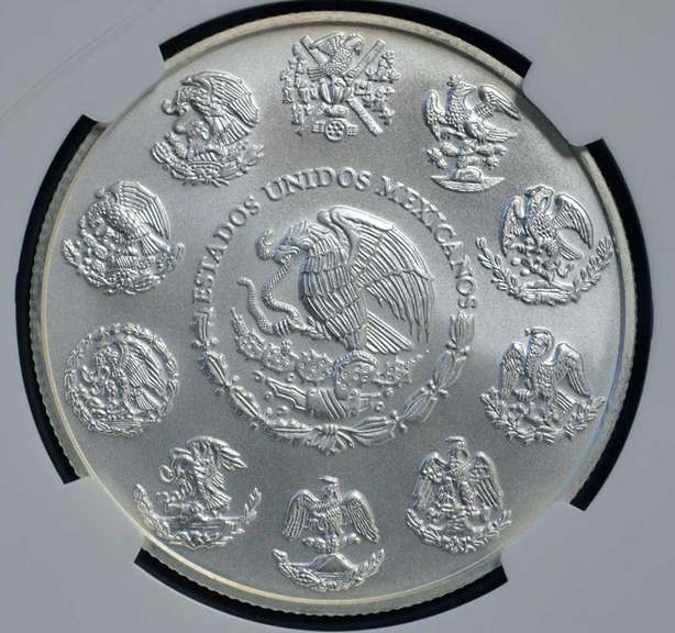 2013 Mo Mexico Libertad MS70 NGC ER