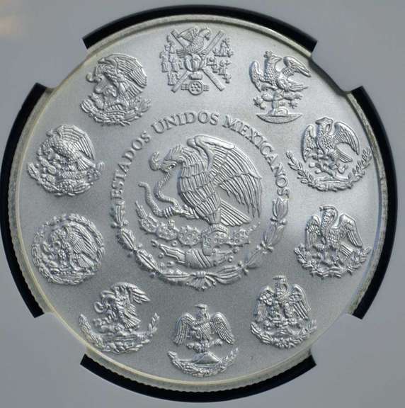 2013 Mo Mexico Libertad MS70 NGC ER