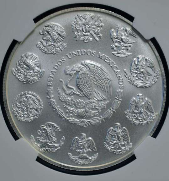 2013 Mo Mexico Libertad MS70 NGC ER