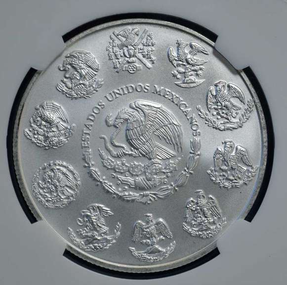 2013 Mo Mexico Libertad MS70 NGC ER