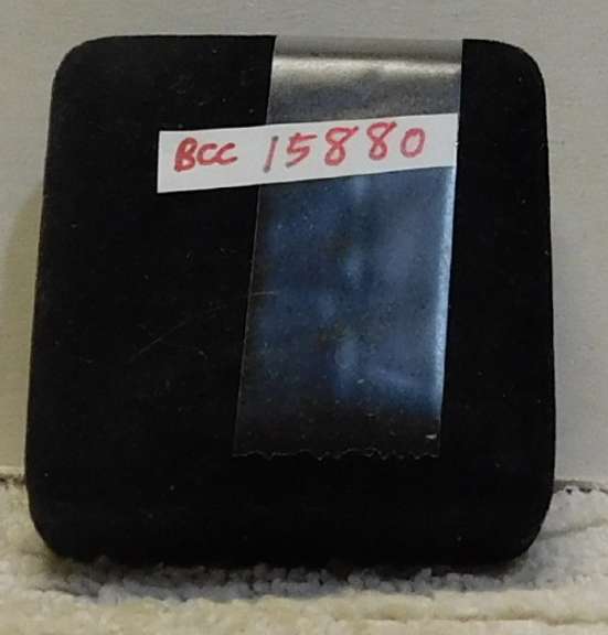 Colorized Elvis Tennessee State Qtr