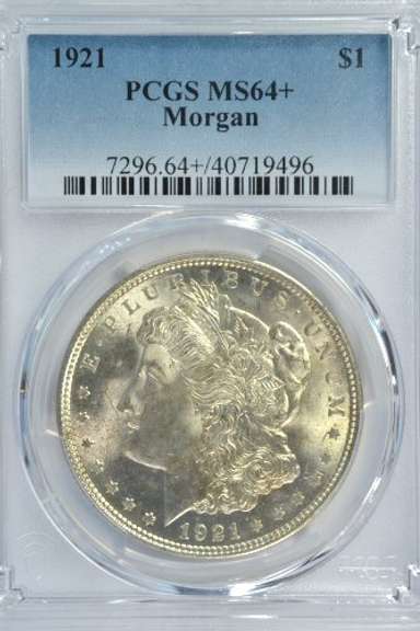 Basically Gem BU 1921 Morgan Silver Dollar. PCGS MS64+