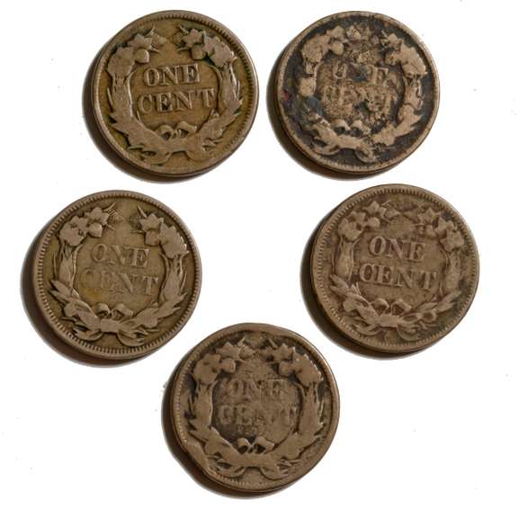 2 1857 & 3 1858 Flying Eagle Cents