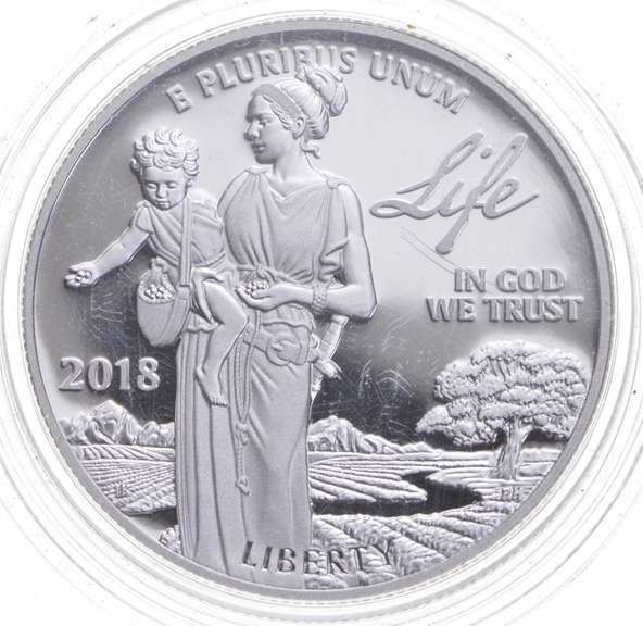 2018-W $100 American Platinum Eagle - Life - 1 Oz. .9995 Platinum Coin