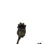 Art Nouveau Lady Candelabra Bronze Sculpture