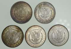 (5) 1888-1904 Morgan Silver Dollars Various Mints - TONED Choice Unc