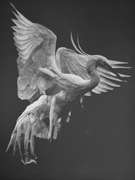 Julio Cesar Delgado - Dance of the Birds 13 Paper