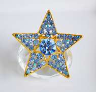 Vintage BSK Five-Pointed Star Brooch With Rhinestones and Stones