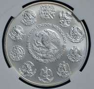 2013 Mo Mexico Libertad MS70 NGC ER