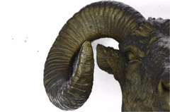 Incredible Detailed Wall Mount Rams Head Bronze Sculpture