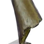 Basset Hound Hush Puppy Bronze Statue