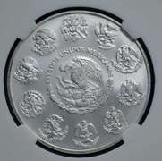 2013 Mo Mexico Libertad MS70 NGC ER