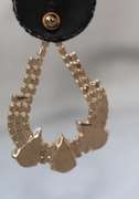 A Very Sexy  Fashion  Design Earrings