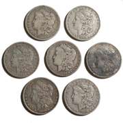 7 Assorted Morgan Dollars