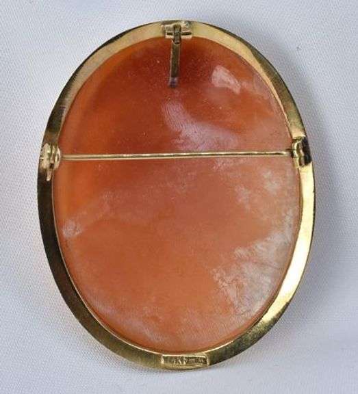 Sophisticated  Cameo Brooch/Pendant Set in 14K