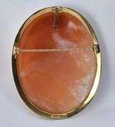 Sophisticated  Cameo Brooch/Pendant Set in 14K