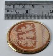 Sophisticated  Cameo Brooch/Pendant Set in 14K