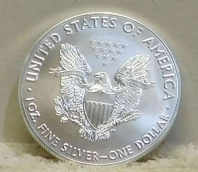 2020 Uncirculated Silver Eagle, GEM, Brand New !