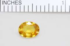Sunny Natural Yellow Sapphire - 1.53 cts.