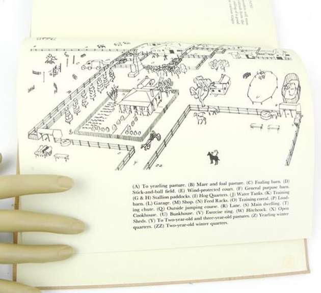 1942 Horse Breeding & Training Vintage Book