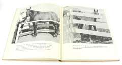 1942 Horse Breeding & Training Vintage Book