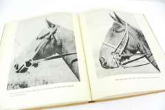 1942 Horse Breeding & Training Vintage Book