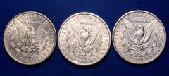 1902 P O &1903 Morgan Dollars From a Near Complete Set